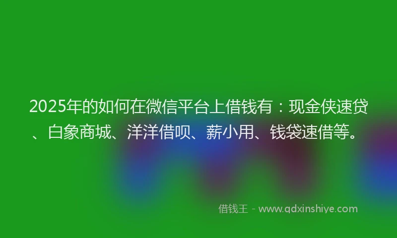 2025年的如何在微信平台上借钱有：现金侠速贷、白象商城、洋洋借呗、薪小用、钱袋速借等。