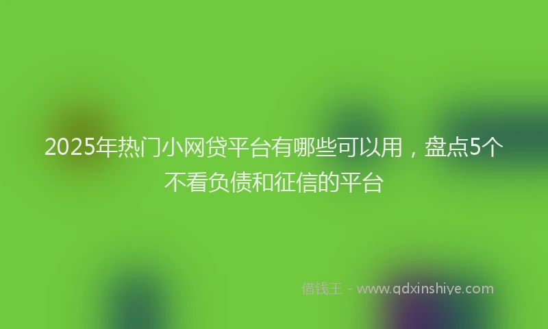 2025年热门小网贷平台有哪些可以用，盘点5个不看负债和征信的平台