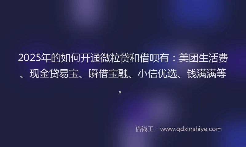 2025年的如何开通微粒贷和借呗有：美团生活费、现金贷易宝、瞬借宝融、小信优选、钱满满等。