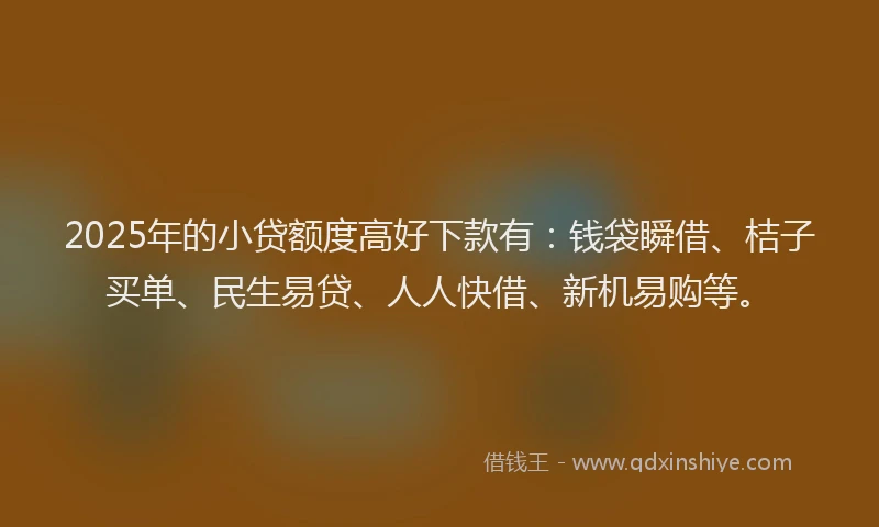 2025年的小贷额度高好下款有：钱袋瞬借、桔子买单、民生易贷、人人快借、新机易购等。