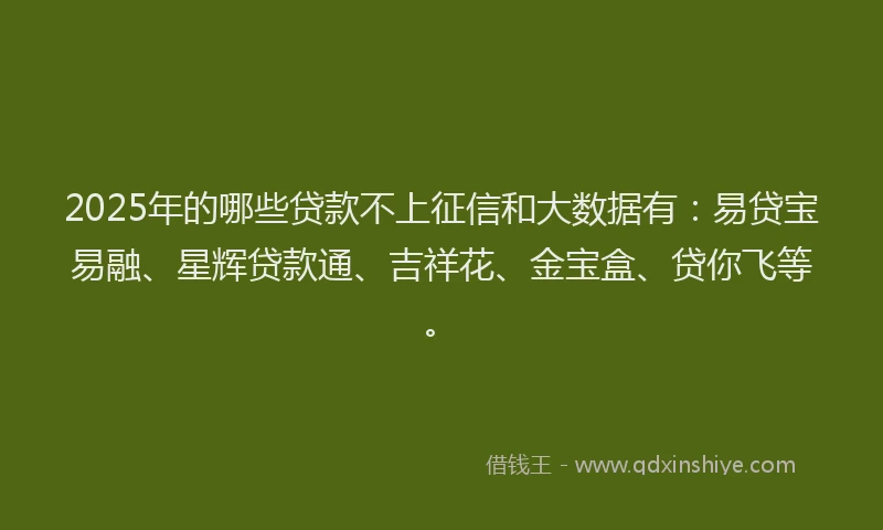 2025年的哪些贷款不上征信和大数据有：易贷宝易融、星辉贷款通、吉祥花、金宝盒、贷你飞等。