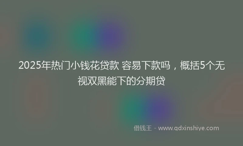 2025年热门小钱花贷款 容易下款吗，概括5个无视双黑能下的分期贷