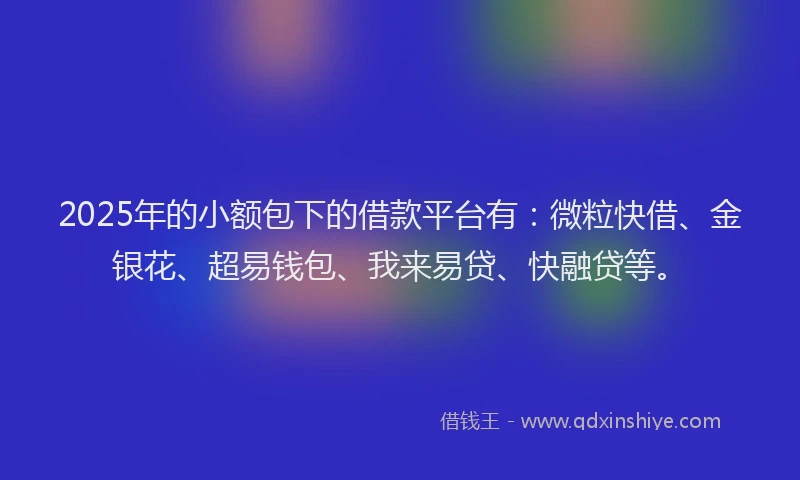 2025年的小额包下的借款平台有：微粒快借、金银花、超易钱包、我来易贷、快融贷等。