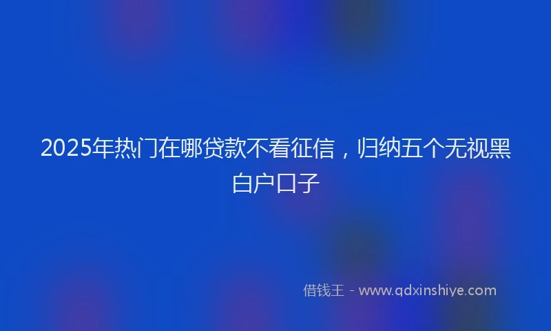 2025年热门在哪贷款不看征信，归纳五个无视黑白户口子
