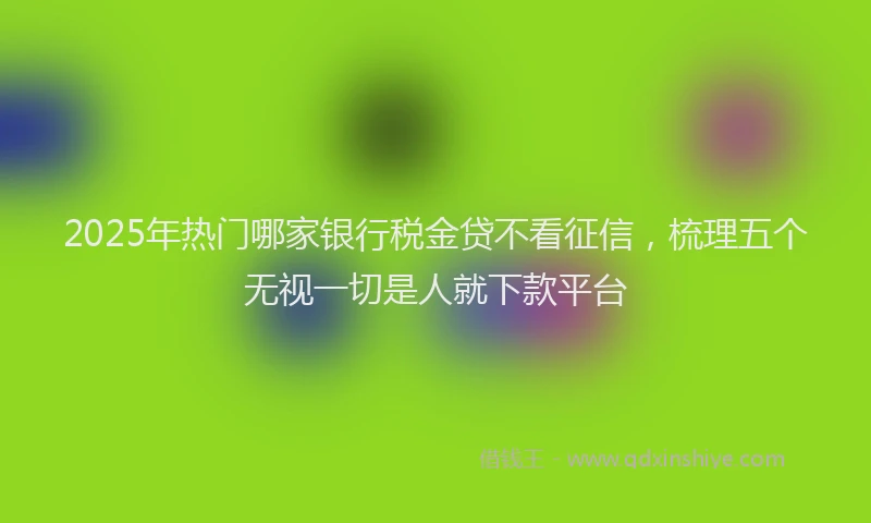 2025年热门哪家银行税金贷不看征信，梳理五个无视一切是人就下款平台