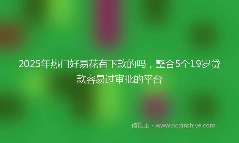 2025年热门好易花有下款的吗，整合5个19岁贷款容易过审批的平台