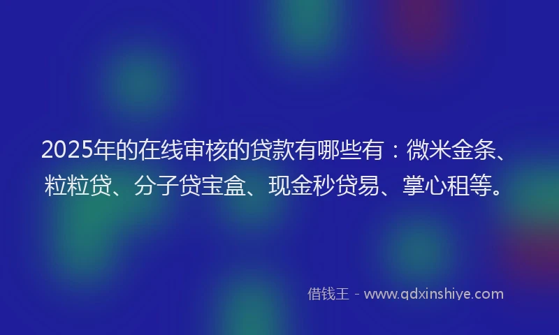 2025年的在线审核的贷款有哪些有：微米金条、粒粒贷、分子贷宝盒、现金秒贷易、掌心租等。