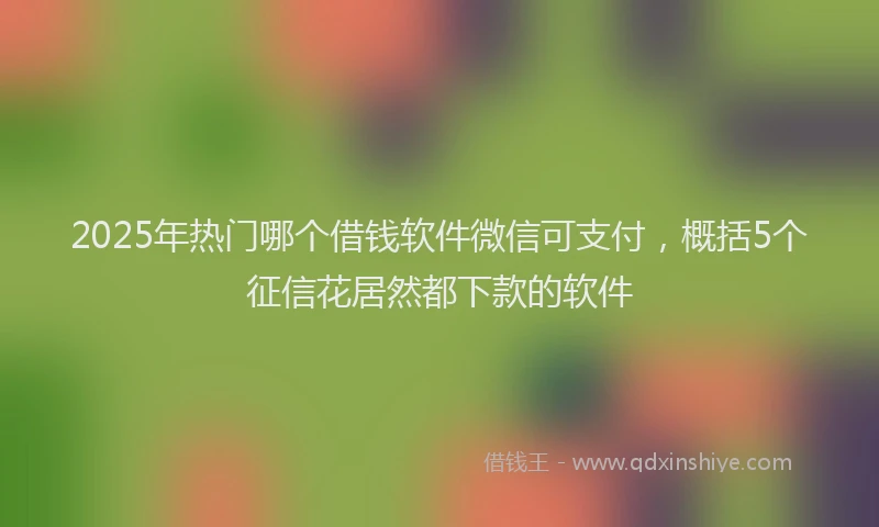 2025年热门哪个借钱软件微信可支付，概括5个征信花居然都下款的软件