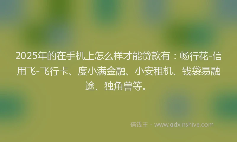 2025年的在手机上怎么样才能贷款有：畅行花-信用飞-飞行卡、度小满金融、小安租机、钱袋易融途、独角兽等。