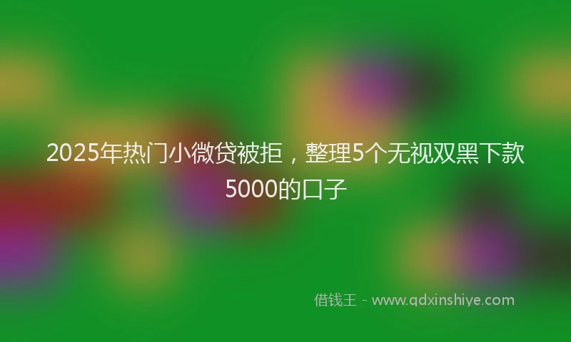 2025年热门小微贷被拒，整理5个无视双黑下款5000的口子