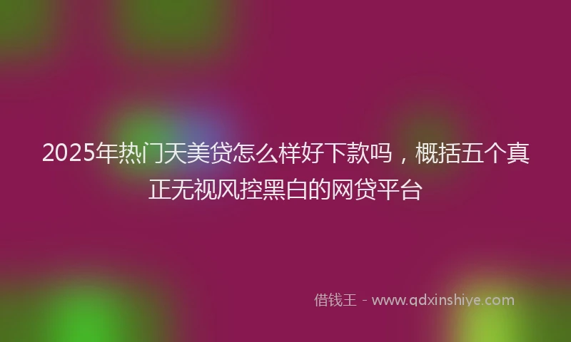 2025年热门天美贷怎么样好下款吗，概括五个真正无视风控黑白的网贷平台