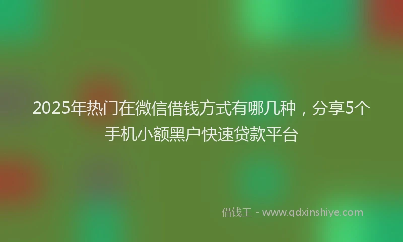2025年热门在微信借钱方式有哪几种，分享5个手机小额黑户快速贷款平台
