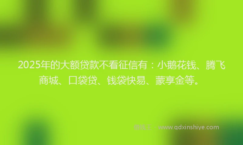 2025年的大额贷款不看征信有：小鹅花钱、腾飞商城、口袋贷、钱袋快易、蒙享金等。