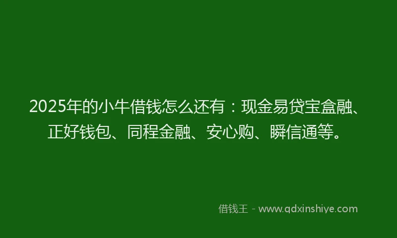 2025年的小牛借钱怎么还有：现金易贷宝盒融、正好钱包、同程金融、安心购、瞬信通等。