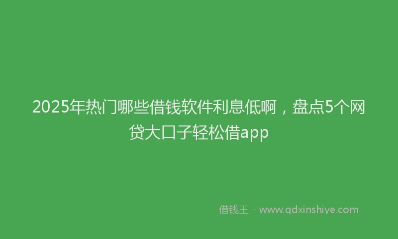 2025年热门哪些借钱软件利息低啊，盘点5个网贷大口子轻松借app