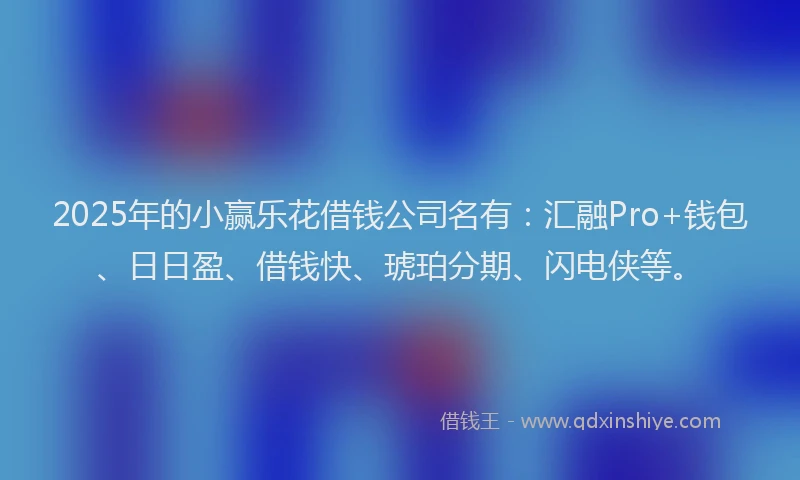 2025年的小赢乐花借钱公司名有：汇融Pro+钱包、日日盈、借钱快、琥珀分期、闪电侠等。