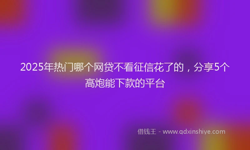 2025年热门哪个网贷不看征信花了的，分享5个高炮能下款的平台