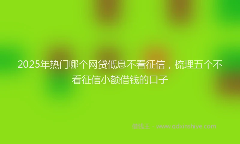 2025年热门哪个网贷低息不看征信，梳理五个不看征信小额借钱的口子