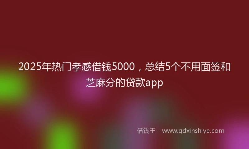 2025年热门孝感借钱5000，总结5个不用面签和芝麻分的贷款app