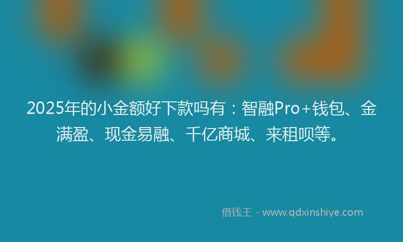 2025年的小金额好下款吗有：智融Pro+钱包、金满盈、现金易融、千亿商城、来租呗等。