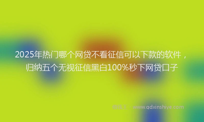 2025年热门哪个网贷不看征信可以下款的软件，归纳五个无视征信黑白100%秒下网贷口子