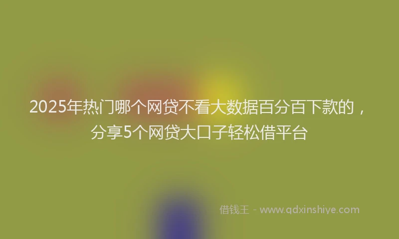 2025年热门哪个网贷不看大数据百分百下款的，分享5个网贷大口子轻松借平台