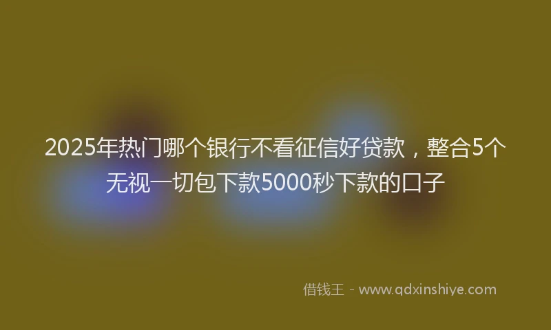 2025年热门哪个银行不看征信好贷款，整合5个无视一切包下款5000秒下款的口子