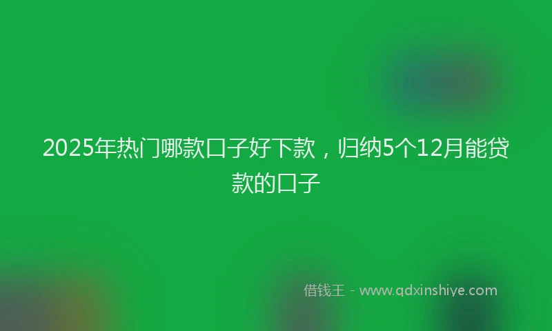 2025年热门哪款口子好下款，归纳5个12月能贷款的口子