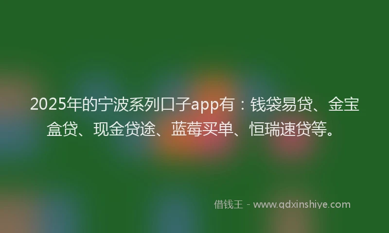 2025年的宁波系列口子app有：钱袋易贷、金宝盒贷、现金贷途、蓝莓买单、恒瑞速贷等。