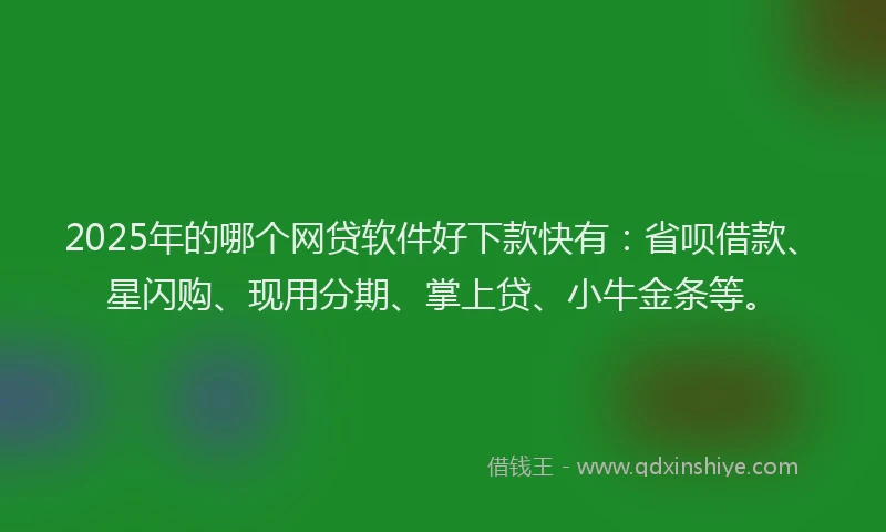 2025年的哪个网贷软件好下款快有：省呗借款、星闪购、现用分期、掌上贷、小牛金条等。