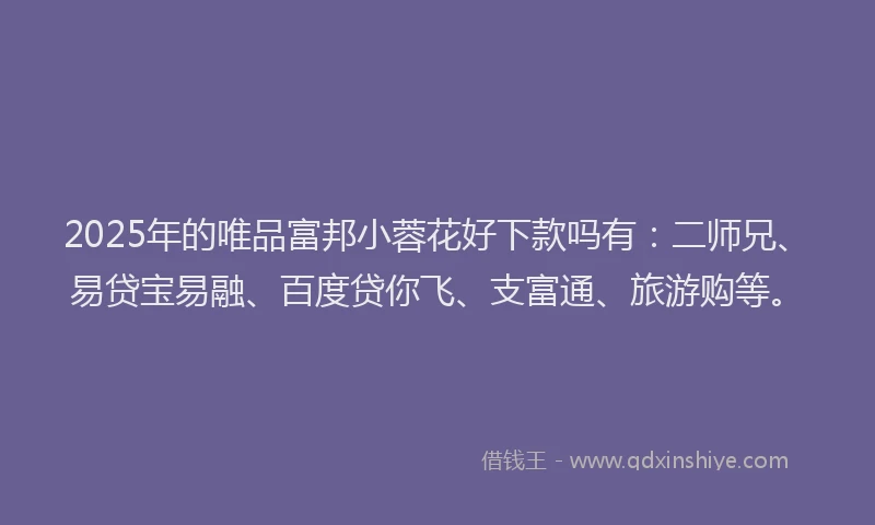 2025年的唯品富邦小蓉花好下款吗有：二师兄、易贷宝易融、百度贷你飞、支富通、旅游购等。