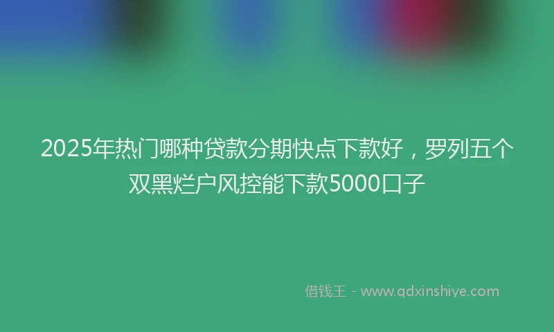 2025年热门哪种贷款分期快点下款好，罗列五个双黑烂户风控能下款5000口子