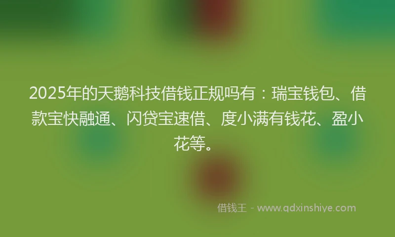 2025年的天鹅科技借钱正规吗有：瑞宝钱包、借款宝快融通、闪贷宝速借、度小满有钱花、盈小花等。