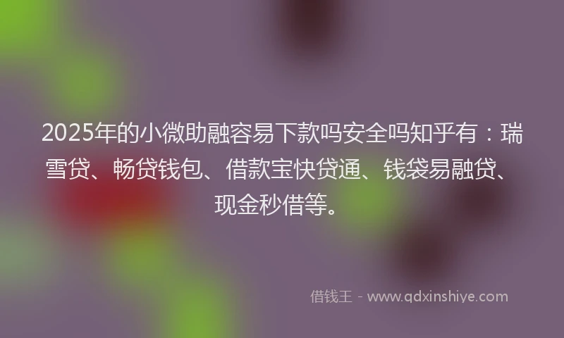 2025年的小微助融容易下款吗安全吗知乎有：瑞雪贷、畅贷钱包、借款宝快贷通、钱袋易融贷、现金秒借等。