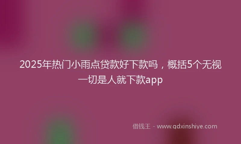 2025年热门小雨点贷款好下款吗，概括5个无视一切是人就下款app