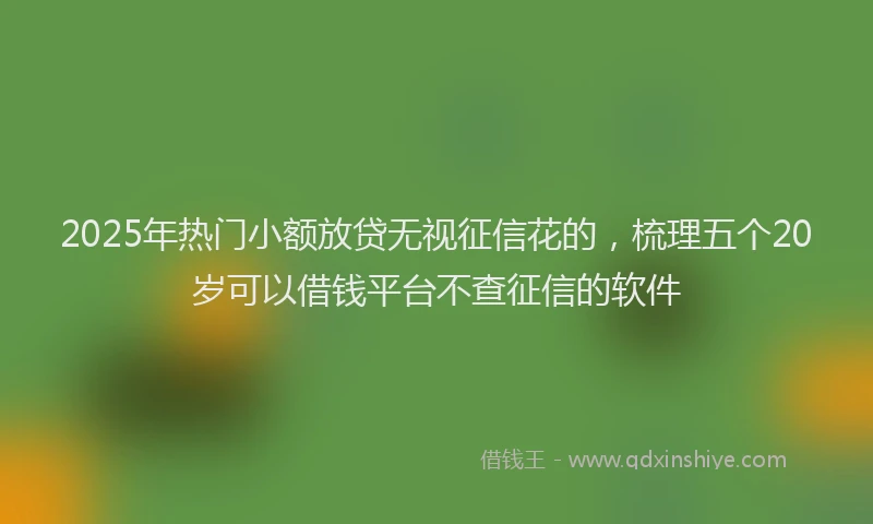 2025年热门小额放贷无视征信花的，梳理五个20岁可以借钱平台不查征信的软件