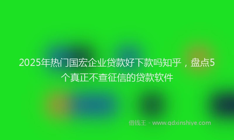 2025年热门国宏企业贷款好下款吗知乎，盘点5个真正不查征信的贷款软件