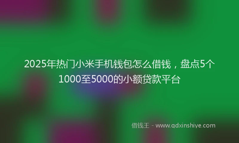 2025年热门小米手机钱包怎么借钱，盘点5个1000至5000的小额贷款平台