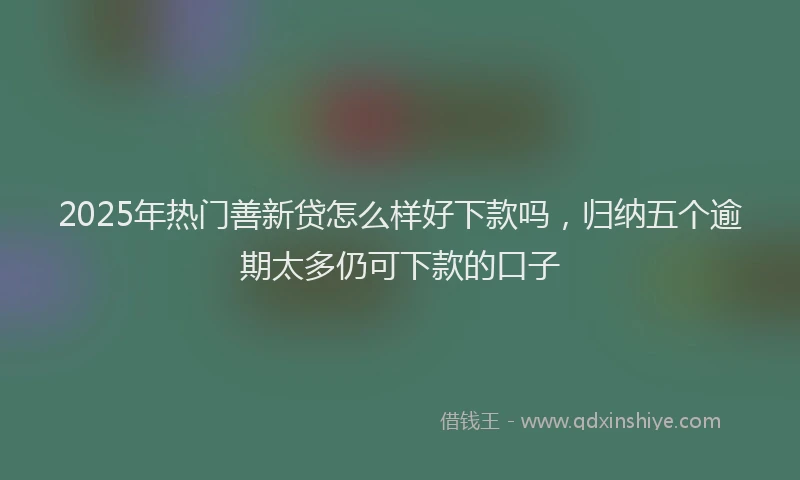 2025年热门善新贷怎么样好下款吗，归纳五个逾期太多仍可下款的口子