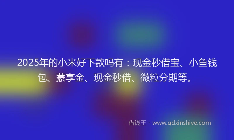 2025年的小米好下款吗有：现金秒借宝、小鱼钱包、蒙享金、现金秒借、微粒分期等。