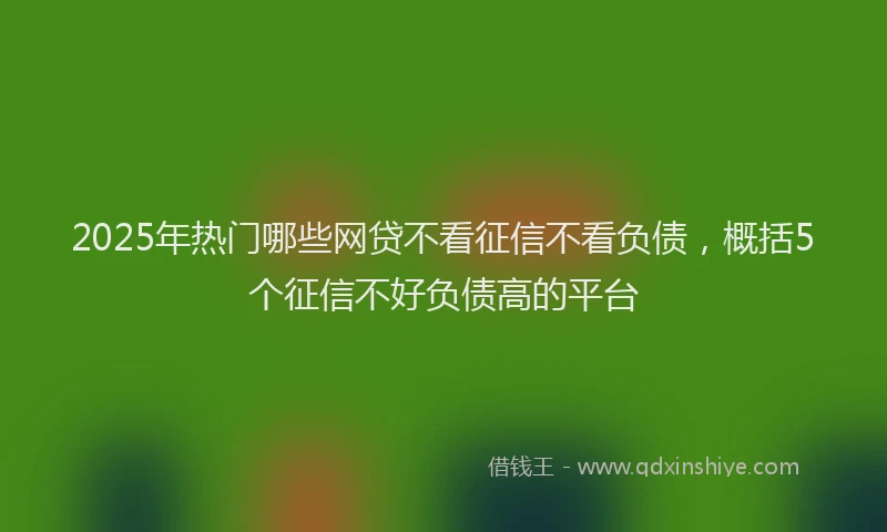 2025年热门哪些网贷不看征信不看负债，概括5个征信不好负债高的平台