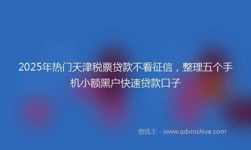 2025年热门天津税票贷款不看征信，整理五个手机小额黑户快速贷款口子