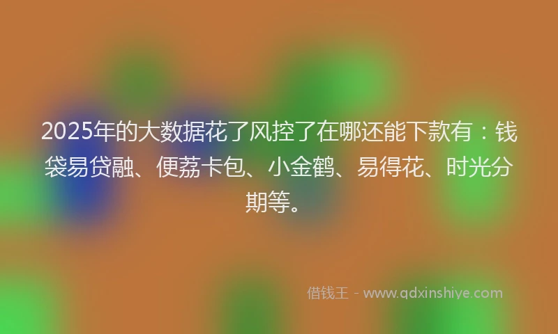 2025年的大数据花了风控了在哪还能下款有：钱袋易贷融、便荔卡包、小金鹤、易得花、时光分期等。