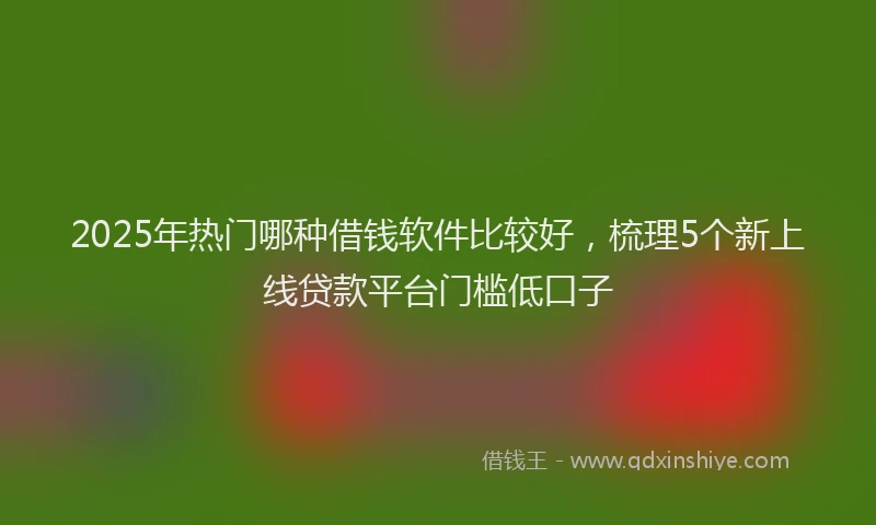 2025年热门哪种借钱软件比较好，梳理5个新上线贷款平台门槛低口子