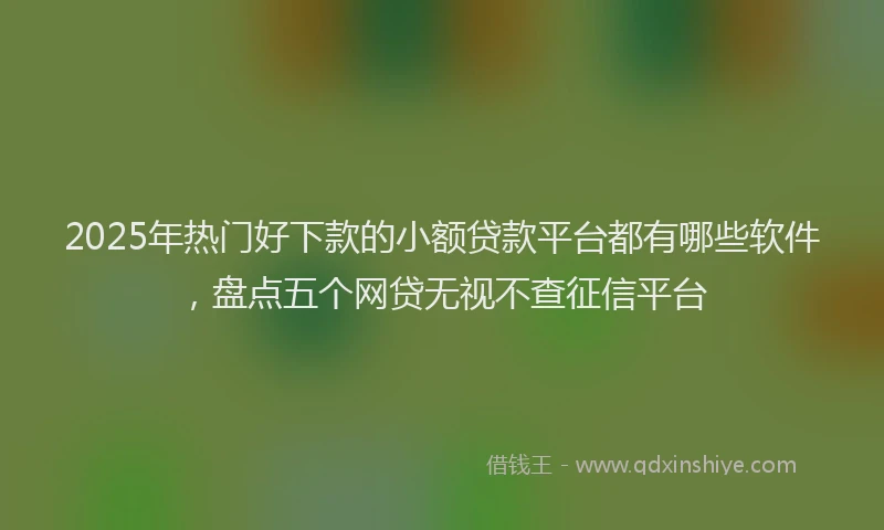 2025年热门好下款的小额贷款平台都有哪些软件，盘点五个网贷无视不查征信平台