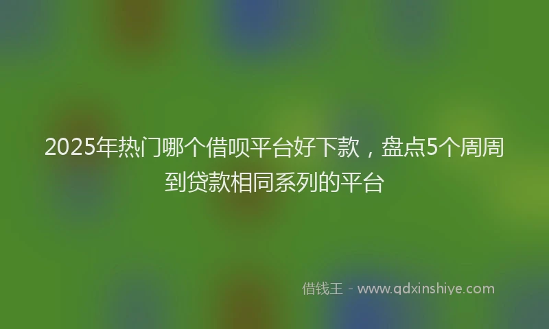 2025年热门哪个借呗平台好下款，盘点5个周周到贷款相同系列的平台
