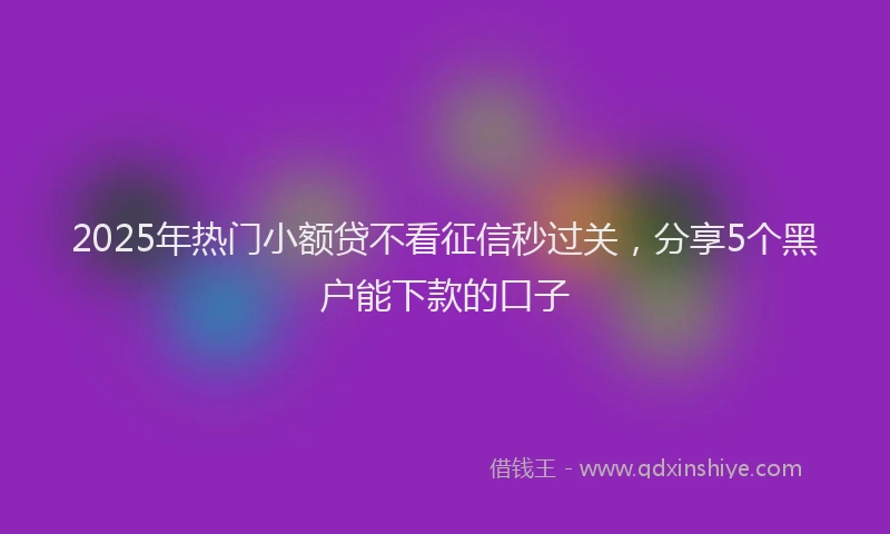2025年热门小额贷不看征信秒过关，分享5个黑户能下款的口子