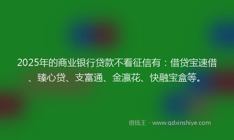 2025年的商业银行贷款不看征信有：借贷宝速借、臻心贷、支富通、金瀛花、快融宝盒等。