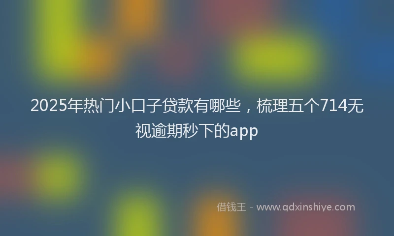 2025年热门小口子贷款有哪些,梳理五个714无视逾期秒下的app