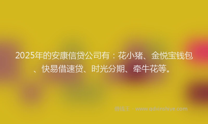 2025年的安康信贷公司有：花小猪、金悦宝钱包、快易借速贷、时光分期、牵牛花等。